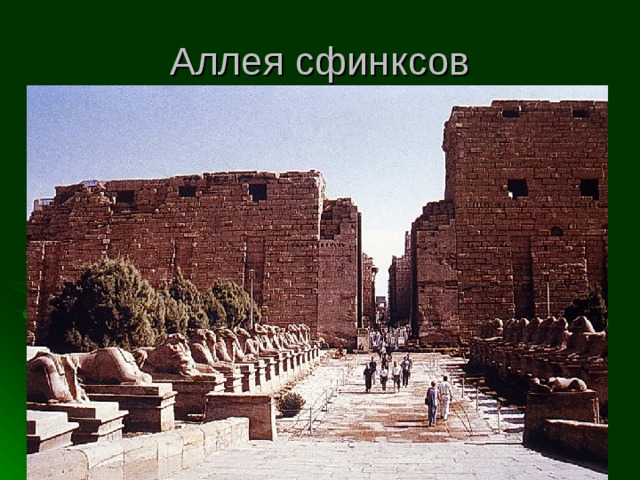 Аллея сфинксов 