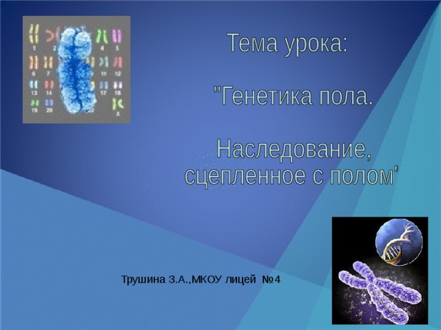  Трушина З.А.,МКОУ лицей №4 