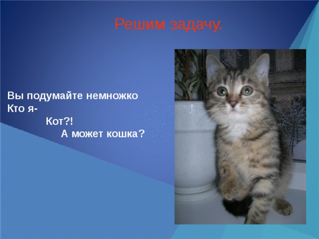 Решим задачу. Вы подумайте немножко Кто я-  Кот?!  А может кошка?  