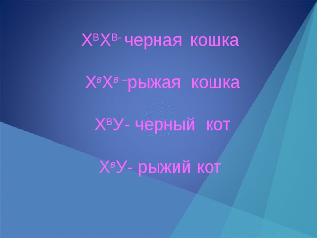 Х В Х В- черная  кошка Х в Х в – рыжая кошка Х В У- черный кот Х в У- рыжий кот 