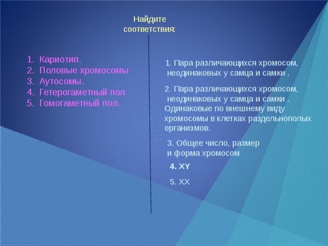 Найдите соответствия: Кариотип. Половые хромосомы Аутосомы. Гетерогаметный пол Гомогаметный пол. 1 . Пара различающихся хромосом,  неодинаковых у самца и самки . 2 . Пара различающихся хромосом,  неодинаковых у самца и самки . Одинаковые по внешнему виду хромосомы в клетках раздельнополых организмов. 3. Общее число, размер и форма хромосом 4. XY 5. XX  