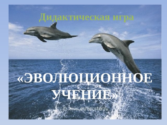 Дидактическая игра «ЭВОЛЮЦИОННОЕ УЧЕНИЕ» 