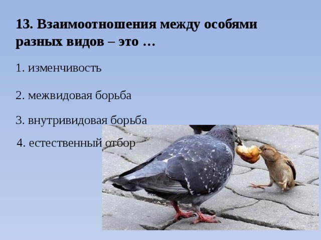 13. Взаимоотношения между особями разных видов – это … 1. изменчивость 2. межвидовая борьба 3. внутривидовая борьба 4. естественный отбор 