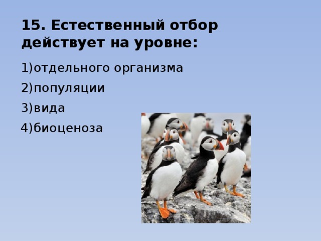 15. Естественный отбор действует на уровне: 1)отдельного организма 2)популяции 3)вида 4)биоценоза 