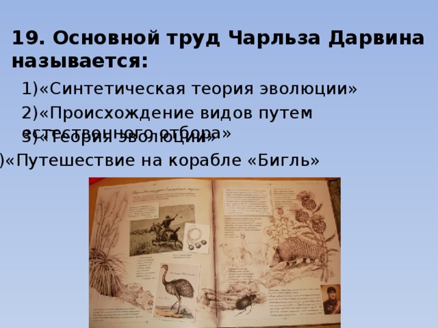 19. Основной труд Чарльза Дарвина называется: 1)«Синтетическая теория эволюции»                   2)«Происхождение видов путем естественного отбора» 3)«Теория эволюции»                                                           4)«Путешествие на корабле «Бигль» 