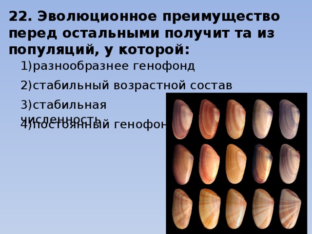 22. Эволюционное преимущество перед остальными получит та из популяций, у которой: 1)разнообразнее генофонд                     2)стабильный возрастной состав 3)стабильная численность                        4)постоянный генофонд 