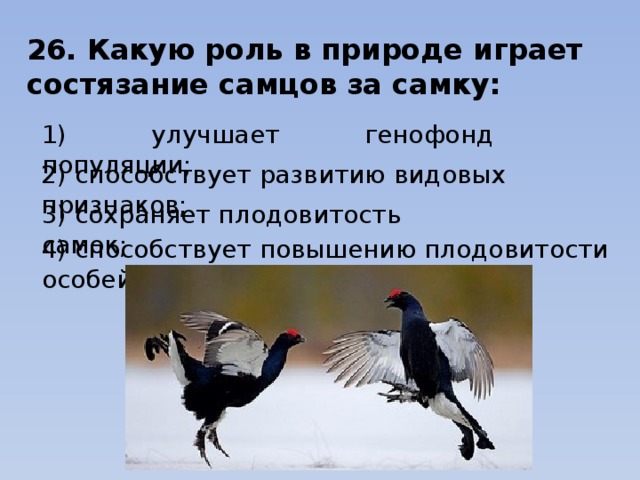 26. Какую роль в природе играет состязание самцов за самку: 1) улучшает генофонд популяции;                                                    2) способствует развитию видовых признаков;      3) сохраняет плодовитость самок;                           4) способствует повышению плодовитости особей 