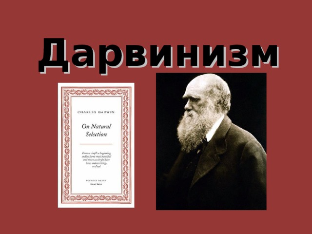 Дарвинизм 