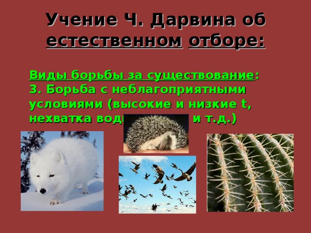 Учение Ч. Дарвина об естественном  отборе: Виды борьбы за существование : 3. Борьба с неблагоприятными условиями (высокие и низкие t , нехватка воды и пищи и т.д.) 