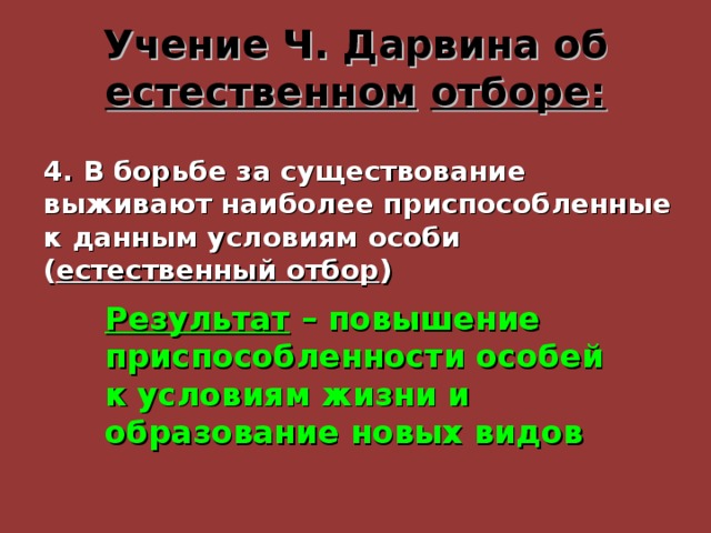 Учение Ч. Дарвина об естественном  отборе: 4. В борьбе за существование выживают наиболее приспособленные к данным условиям особи ( естественный отбор ) Результат – повышение приспособленности особей к условиям жизни и образование новых видов 