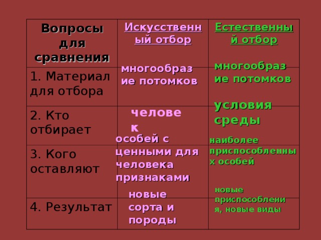 Вопросы для сравнения Искусственный отбор 1. Материал для отбора Естественный отбор 2. Кто отбирает 3. Кого оставляют 4. Результат многообразие потомков многообразие потомков условия среды человек особей с ценными для человека признаками наиболее приспособленных особей новые приспособления, новые виды новые сорта и породы 