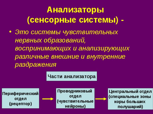 Анализаторы  (сенсорные системы) -  Это системы чувствительных нервных образований, воспринимающих и анализирующих различные внешние и внутренние раздражения Части анализатора Периферический отдел (рецептор) Проводниковый отдел (чувствительные нейроны) Центральный отдел (специальные зоны коры больших полушарий) 