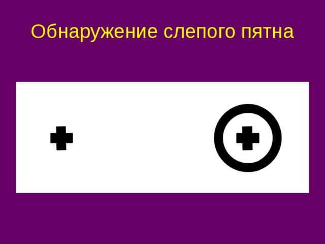 Обнаружение слепого пятна 