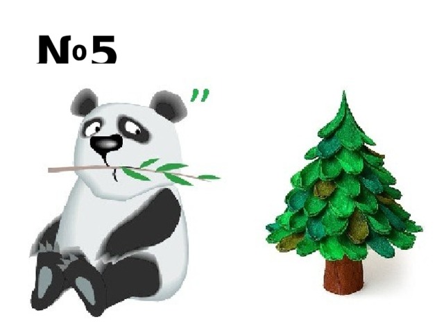 № 5 
