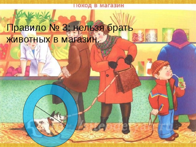 Правило № 3: нельзя брать животных в магазин. 