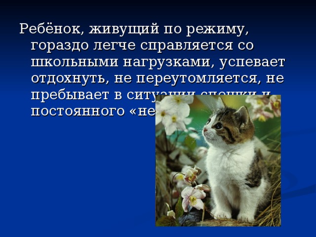 Ребёнок, живущий по режиму, гораздо легче справляется со школьными нагрузками, успевает отдохнуть, не переутомляется, не пребывает в ситуации спешки и постоянного «не успел». 