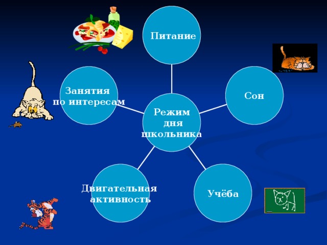  Питание Сон Занятия по интересам Режим  дня школьника Учёба Двигательная активность 