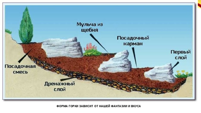 ФОРМА ГОРКИ ЗАВИСИТ ОТ НАШЕЙ ФАНТАЗИИ И ВКУСА 