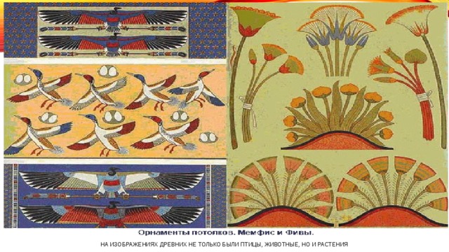 На изображениях древних не только были птицы, животные, но и растения 