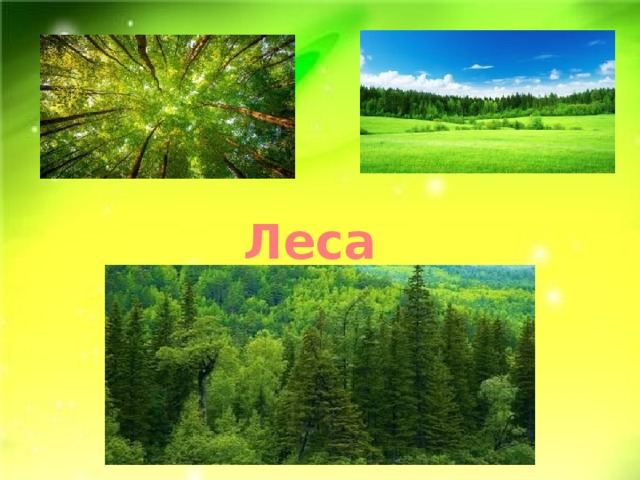 Леса 