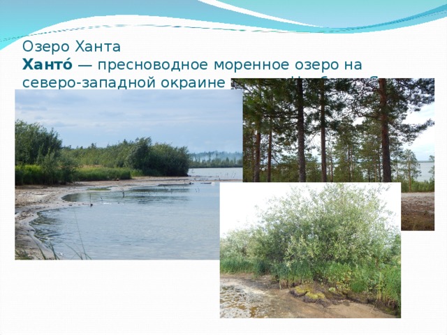 Озеро Ханта  Ханто́ — пресноводное моренное озеро на северо-западной окраине города Ноябрьск Ямало-Ненецкого автономного округа. 