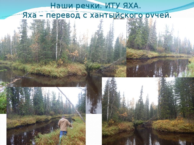 Наши речки. ИТУ ЯХА.  Яха – перевод с хантыйского ручей. 