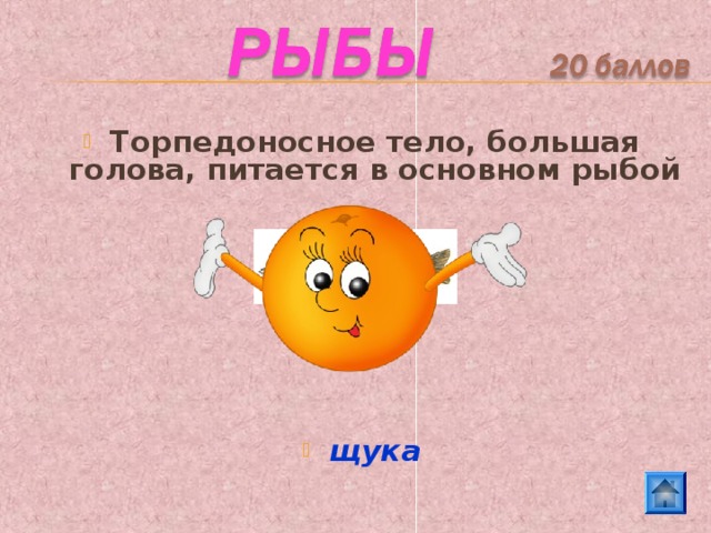 Торпедоносное тело, большая голова, питается в основном рыбой        щука 