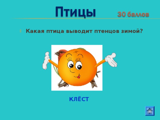 Какая птица выводит птенцов зимой? КЛЁСТ 