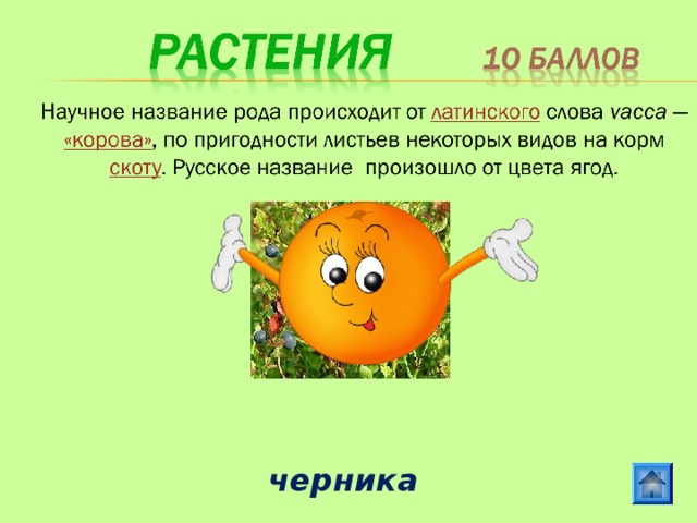  черника 