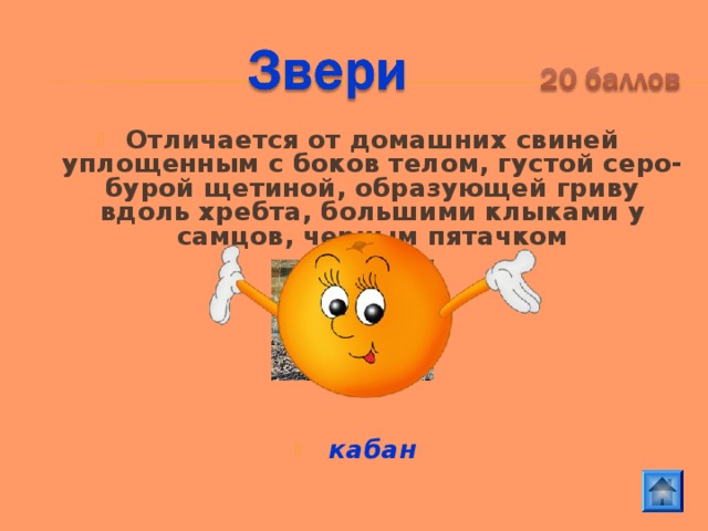 Отличается от домашних свиней уплощенным с боков телом, густой серо-бурой щетиной, образующей гриву вдоль хребта, большими клыками у самцов, черным пятачком       кабан 