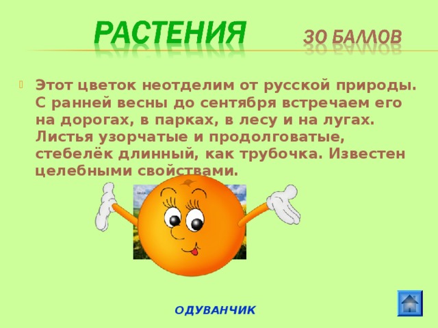 Этот цветок неотделим от русской природы. С ранней весны до сентября встречаем его на дорогах, в парках, в лесу и на лугах. Листья узорчатые и продолговатые, стебелёк длинный, как трубочка. Известен целебными свойствами. ОДУВАНЧИК 