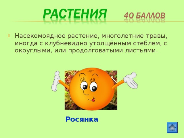 Насекомоядное растение, многолетние травы, иногда с клубневидно утолщённым стеблем, с округлыми, или продолговатыми листьями. Росянка 