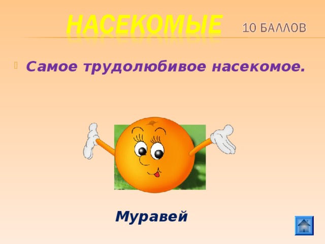 Самое трудолюбивое насекомое.  Муравей 