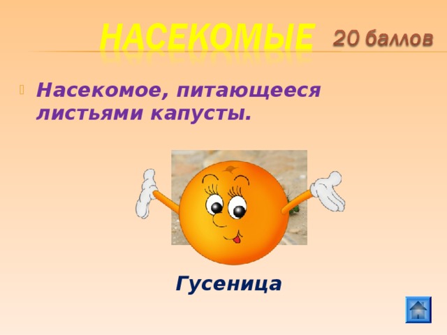 Насекомое, питающееся листьями капусты.   Гусеница 