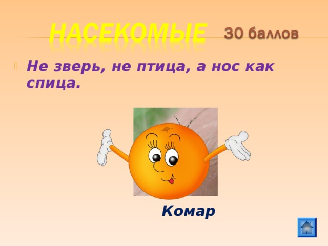 Не зверь, не птица, а нос как спица.  Комар 