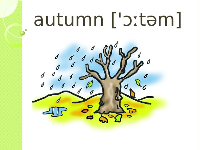 autumn [ ' ɔːtəm] 