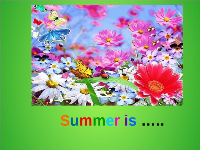 S u m m e r  i s ….. 