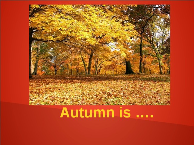 Autumn is …. 