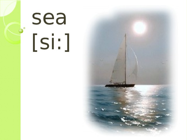 sea [si : ] 