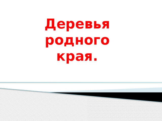Деревья родного края. 