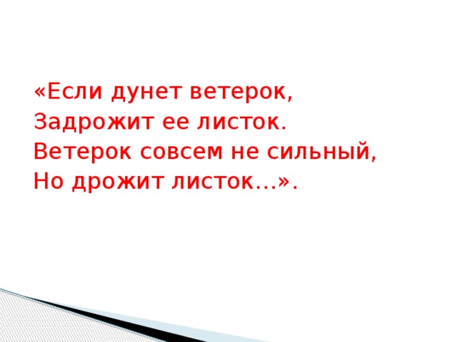 «Если дунет ветерок, Задрожит ее листок. Ветерок совсем не сильный, Но дрожит листок…».       