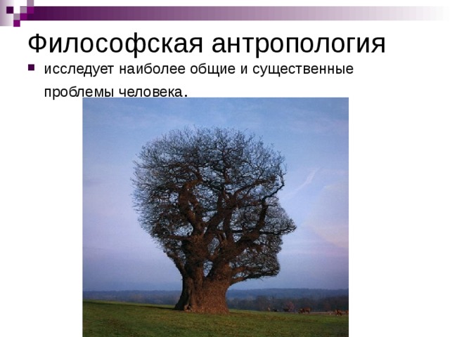 Философская антропология исследует наиболее общие и существенные проблемы человека .   