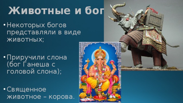 Животные и боги Некоторых богов представляли в виде животных; Приручили слона (бог Ганеша с головой слона); Священное животное – корова. 