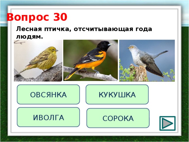Вопрос 30 Лесная птичка, отсчитывающая года людям. КУКУШКА ОВСЯНКА ИВОЛГА СОРОКА 