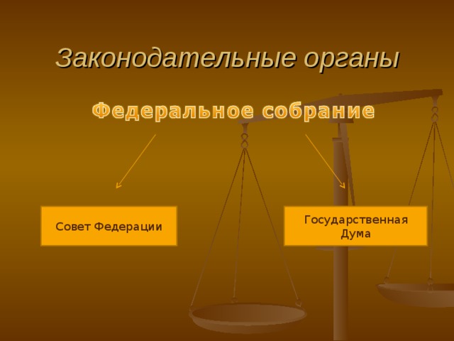 Законодательные органы Совет Федерации Государственная Дума 