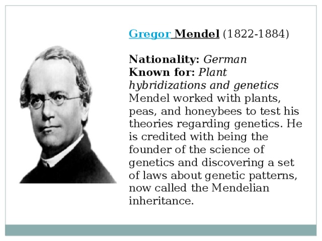 Gregor Mendel  (1822-1884)  Nationality:  German  Known for:  Plant hybridizations and genetics  Mendel worked with plants, peas, and honeybees to test his theories regarding genetics. He is credited with being the founder of the science of genetics and discovering a set of laws about genetic patterns, now called the Mendelian inheritance. 