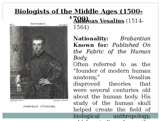 Biologists of the Middle Ages (1500-1700) Andreas Vesalius  (1514-1564)  Nationality:  Brabantian  Known for:  Published On the Fabric of the Human Body  Often referred to as the “founder of modern human anatomy,” Vesalius disproved theories that were several centuries old about the human body. His study of the human skull helped create the field of biological anthropology, which studies how the human species has developed over time. 