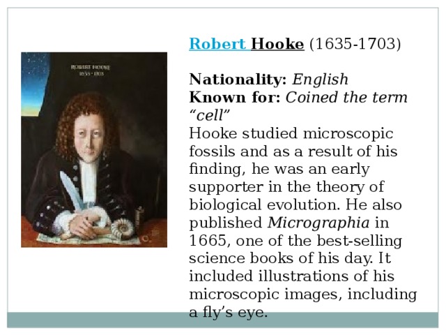  Robert Hooke  (1635-1703)  Nationality:  English  Known for:  Coined the term “cell”  Hooke studied microscopic fossils and as a result of his finding, he was an early supporter in the theory of biological evolution. He also published Micrographia in 1665, one of the best-selling science books of his day. It included illustrations of his microscopic images, including a fly’s eye. 