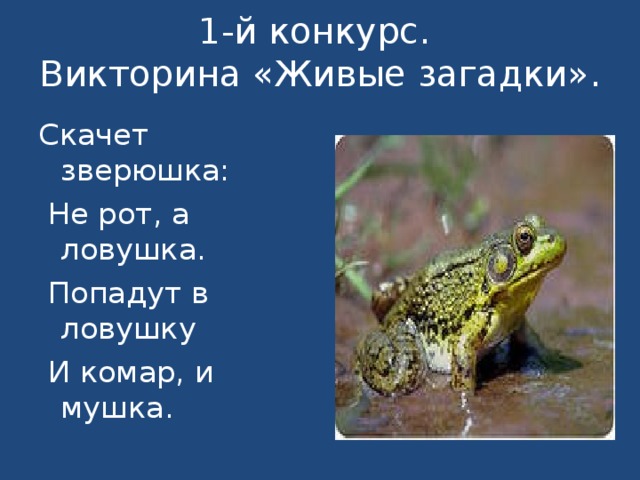 1-й конкурс.  Викторина «Живые загадки».   Скачет зверюшка:  Не рот, а ловушка.  Попадут в ловушку  И комар, и мушка. 