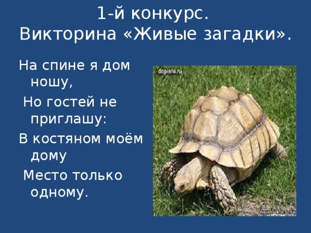 1-й конкурс.  Викторина «Живые загадки».   На спине я дом ношу,  Но гостей не приглашу: В костяном моём дому  Место только одному. 